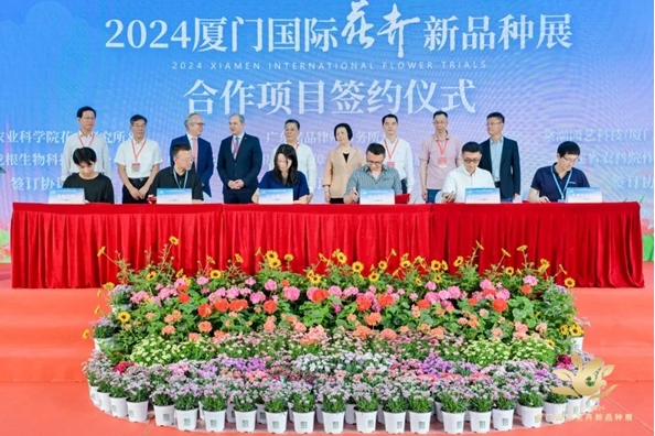 2024 Xiamen International Flower Trails event kicks off